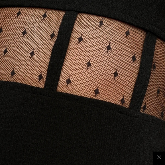 Speechless Mesh Bodycon Mini Dress - Picture 5 of 7
